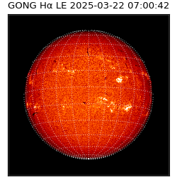 gong - 2025-03-22T07:00:42