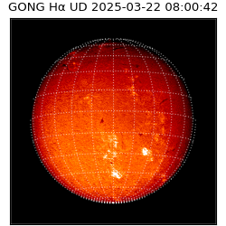 gong - 2025-03-22T08:00:42