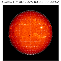 gong - 2025-03-22T09:00:42
