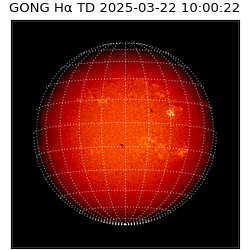 gong - 2025-03-22T10:00:22