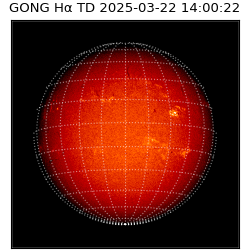 gong - 2025-03-22T14:00:22