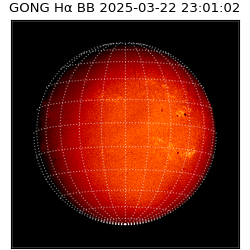 gong - 2025-03-22T23:01:02