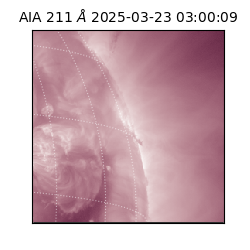 saia - 2025-03-23T03:00:09.632000
