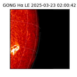gong - 2025-03-23T02:00:42