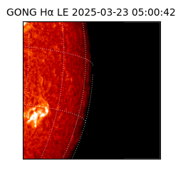 gong - 2025-03-23T05:00:42