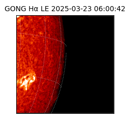 gong - 2025-03-23T06:00:42