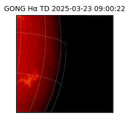 gong - 2025-03-23T09:00:22