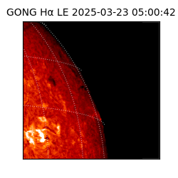 gong - 2025-03-23T05:00:42