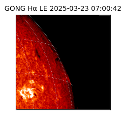 gong - 2025-03-23T07:00:42
