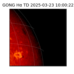 gong - 2025-03-23T10:00:22