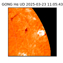 gong - 2025-03-23T11:05:43