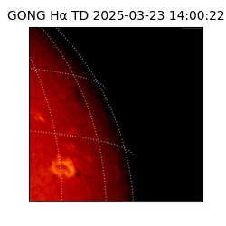 gong - 2025-03-23T14:00:22