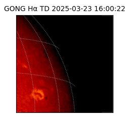 gong - 2025-03-23T16:00:22