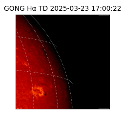 gong - 2025-03-23T17:00:22