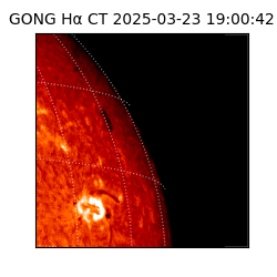 gong - 2025-03-23T19:00:42