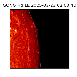 gong - 2025-03-23T02:00:42