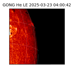 gong - 2025-03-23T04:00:42