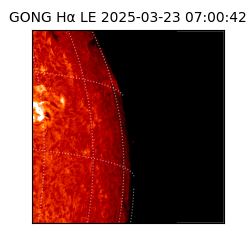gong - 2025-03-23T07:00:42