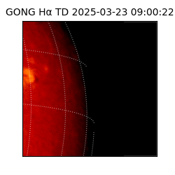 gong - 2025-03-23T09:00:22