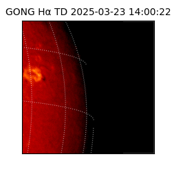 gong - 2025-03-23T14:00:22