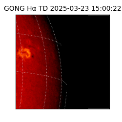 gong - 2025-03-23T15:00:22