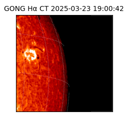 gong - 2025-03-23T19:00:42
