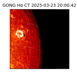 gong - 2025-03-23T20:00:42