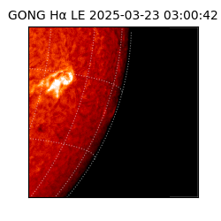 gong - 2025-03-23T03:00:42