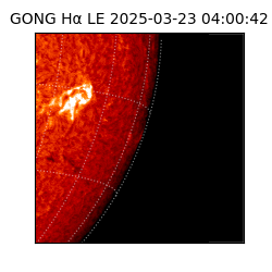 gong - 2025-03-23T04:00:42