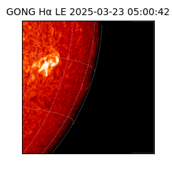 gong - 2025-03-23T05:00:42