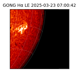 gong - 2025-03-23T07:00:42