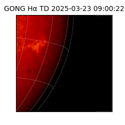 gong - 2025-03-23T09:00:22