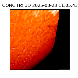 gong - 2025-03-23T11:05:43