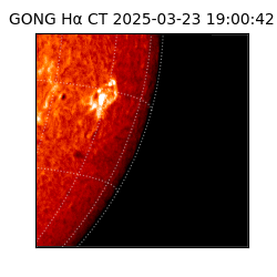 gong - 2025-03-23T19:00:42