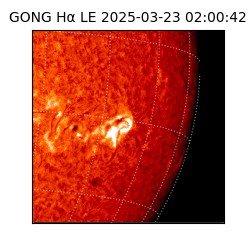 gong - 2025-03-23T02:00:42
