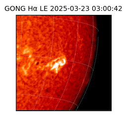 gong - 2025-03-23T03:00:42