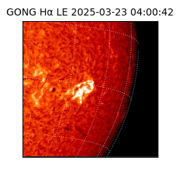 gong - 2025-03-23T04:00:42