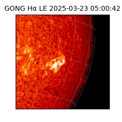 gong - 2025-03-23T05:00:42