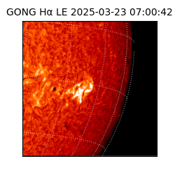 gong - 2025-03-23T07:00:42