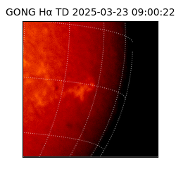 gong - 2025-03-23T09:00:22