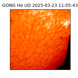 gong - 2025-03-23T11:05:43