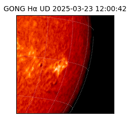 gong - 2025-03-23T12:00:42