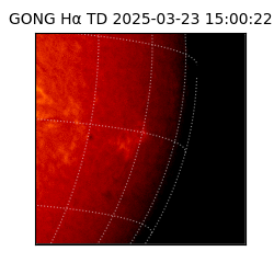 gong - 2025-03-23T15:00:22
