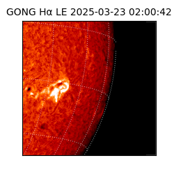 gong - 2025-03-23T02:00:42
