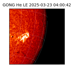 gong - 2025-03-23T04:00:42