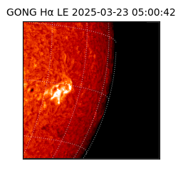 gong - 2025-03-23T05:00:42
