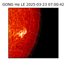 gong - 2025-03-23T07:00:42