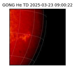 gong - 2025-03-23T09:00:22