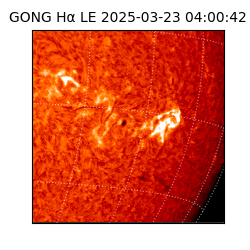 gong - 2025-03-23T04:00:42