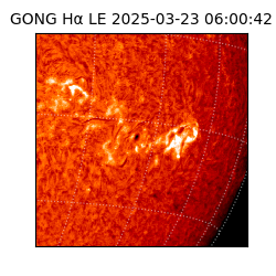 gong - 2025-03-23T06:00:42